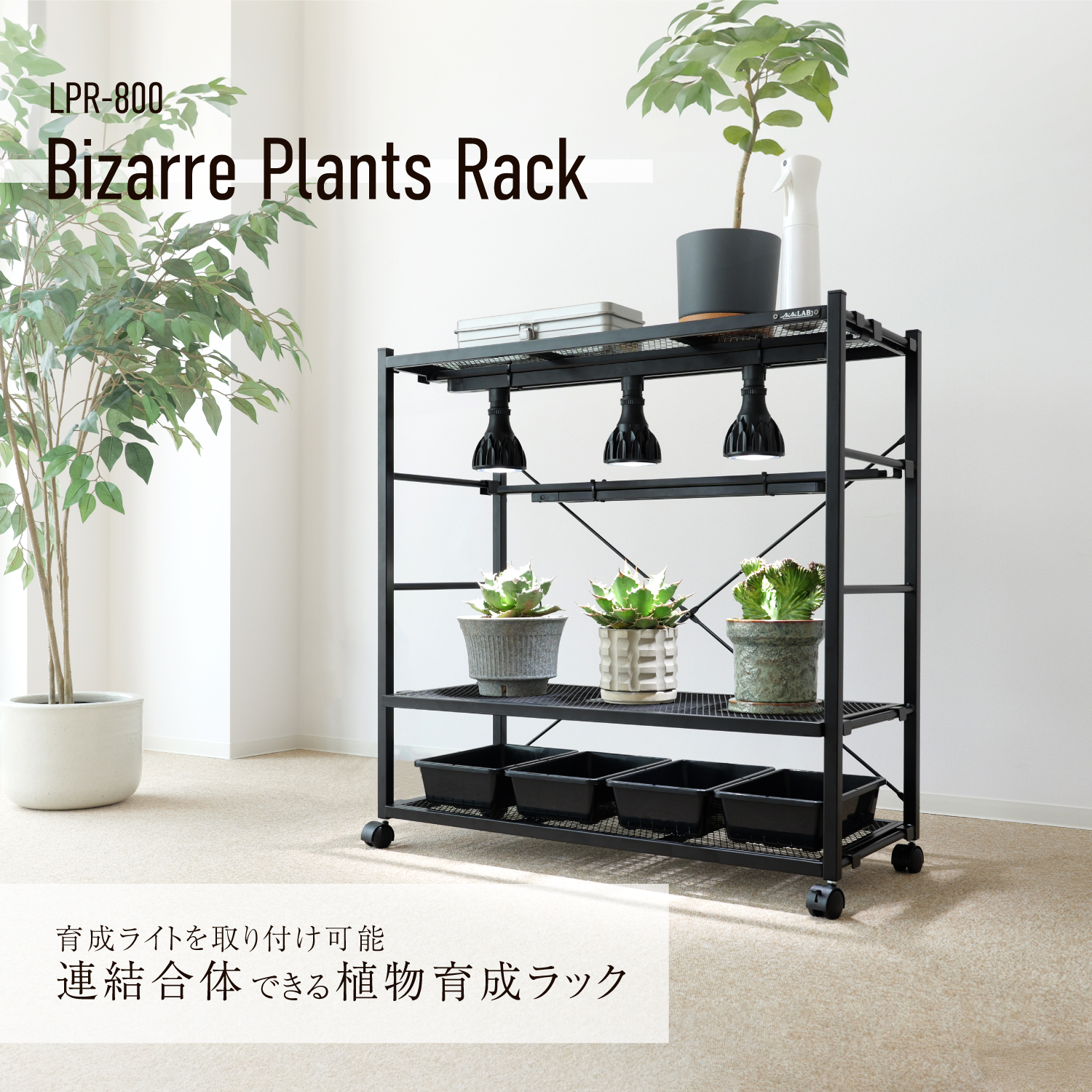 ビザールプランツラックの製品画像