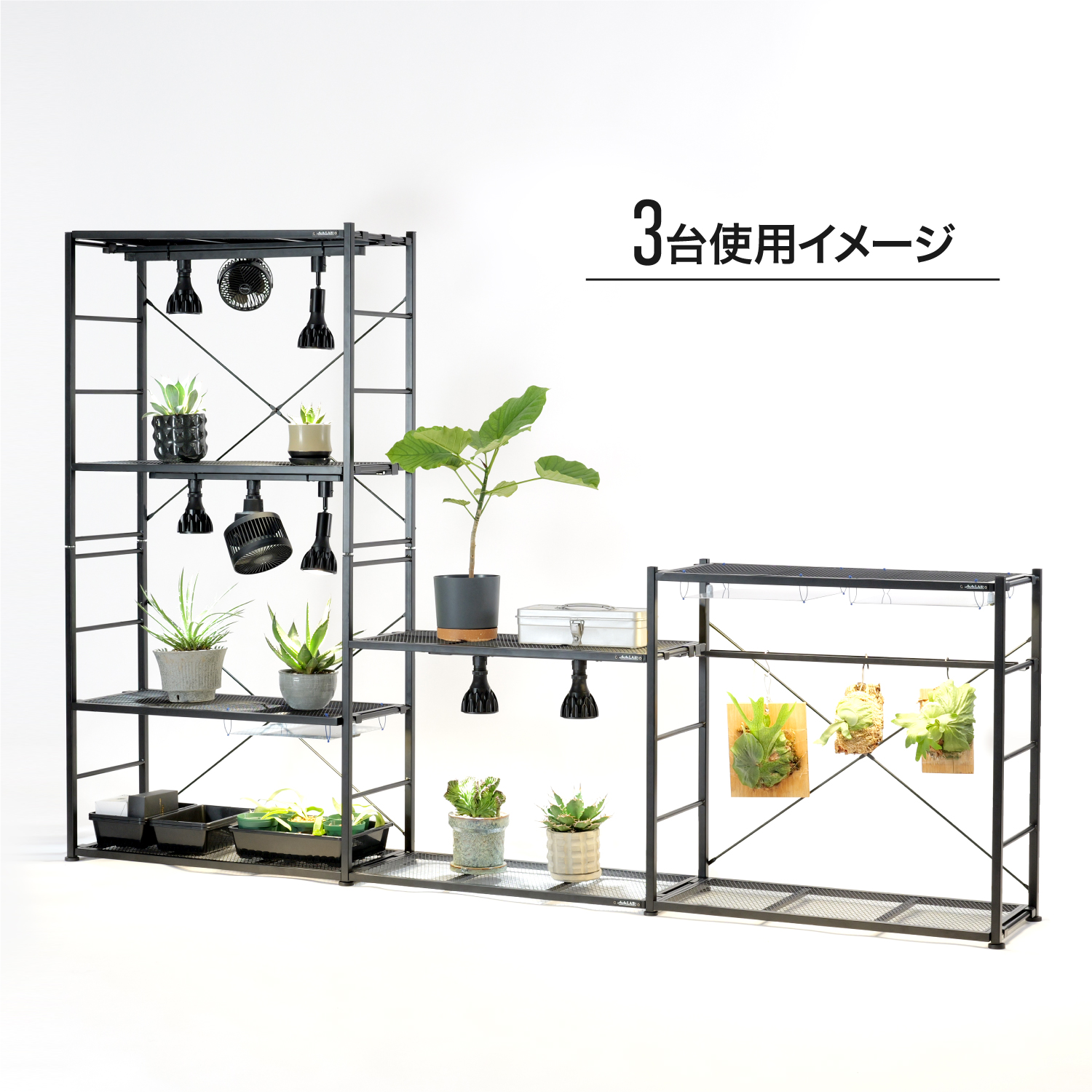 ビザールプランツラックの製品画像