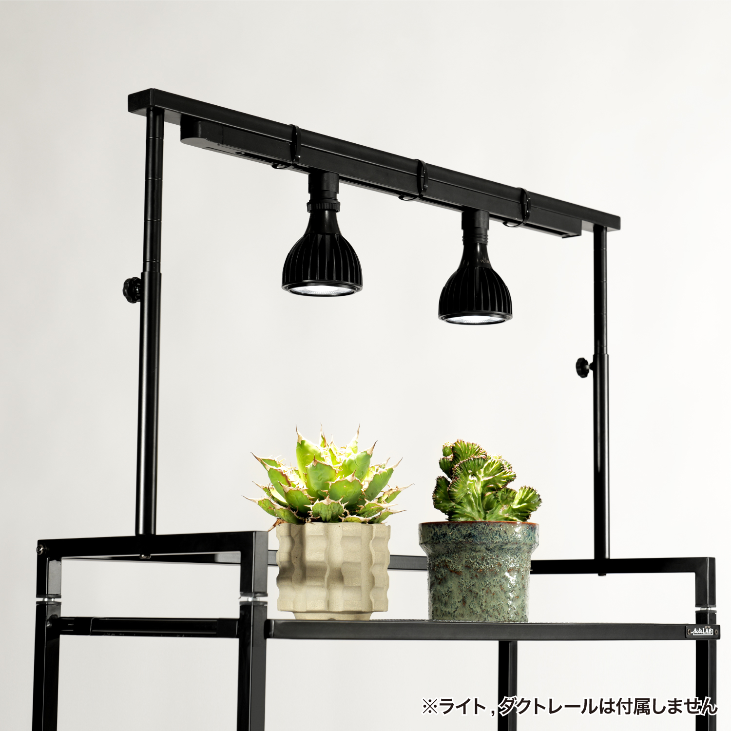 ビザールプランツライトスタンドの製品画像