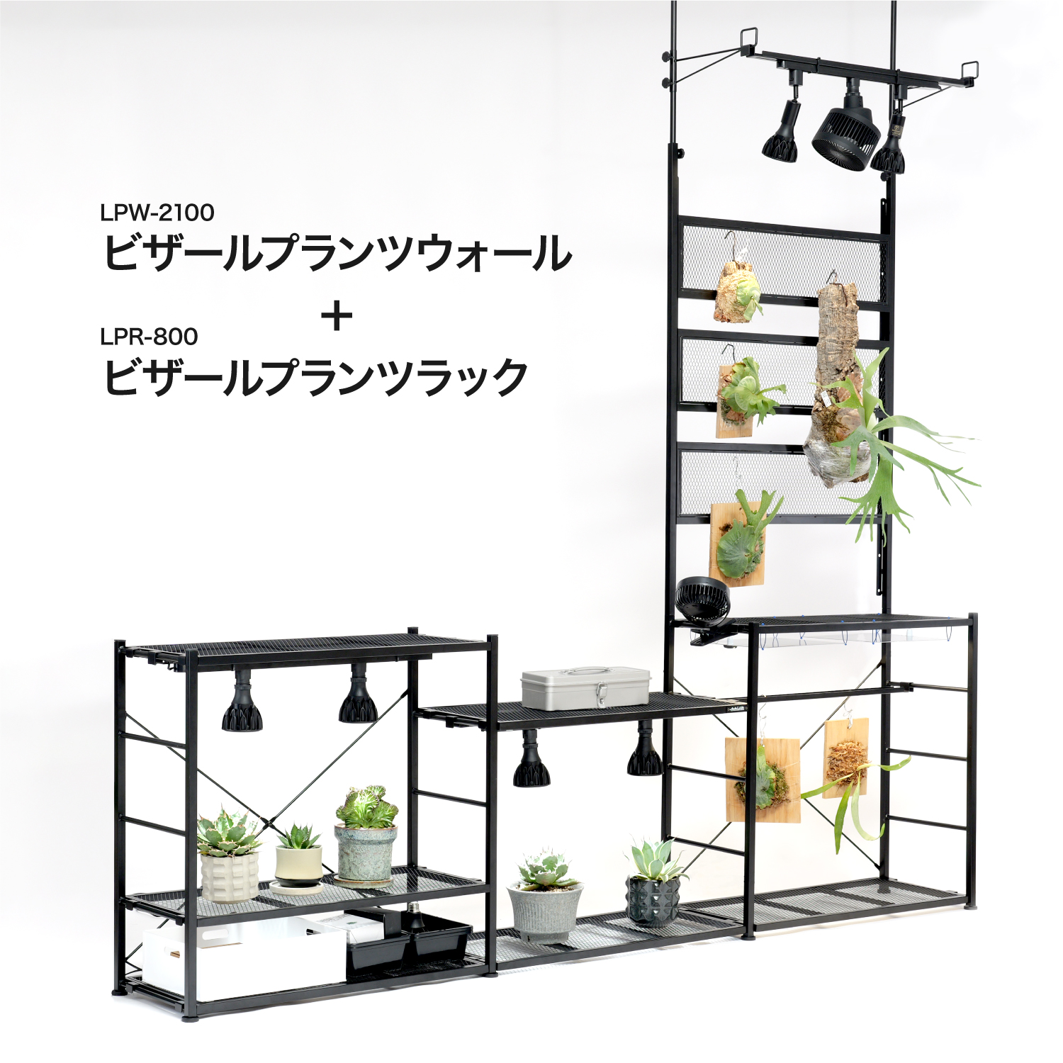 ビザールプランツウォールラックの製品画像
