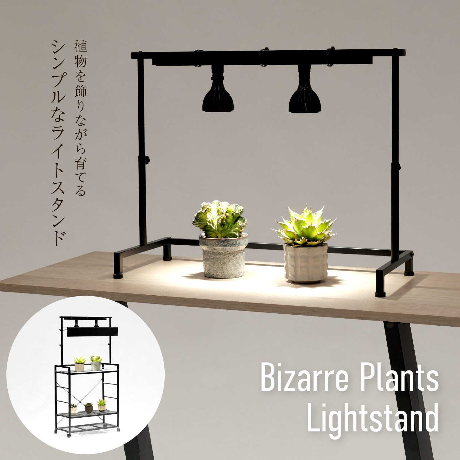 ビザールプランツライトスタンドの製品画像