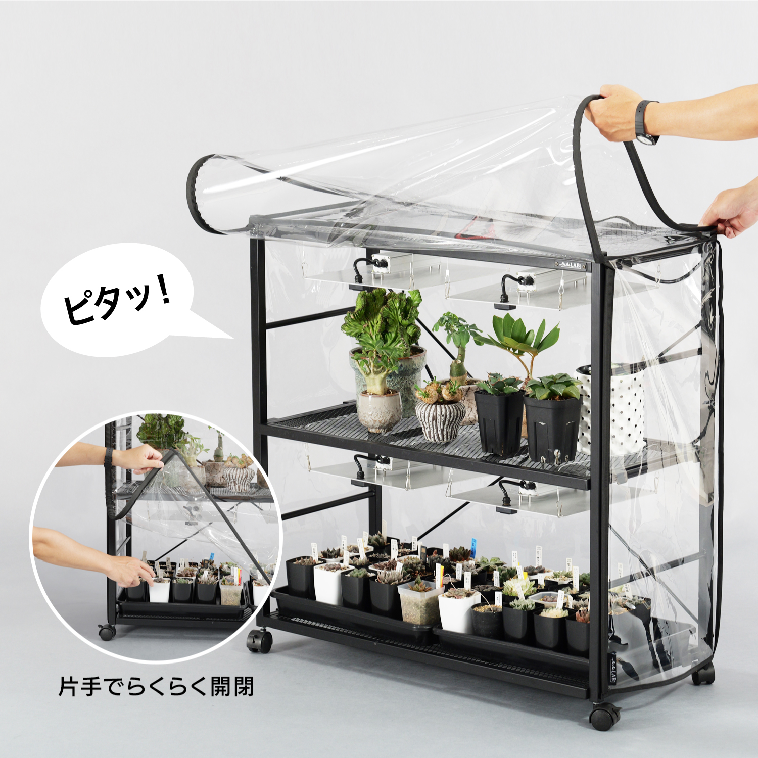 ビザールプランツラック ビニール温室カバーの製品画像