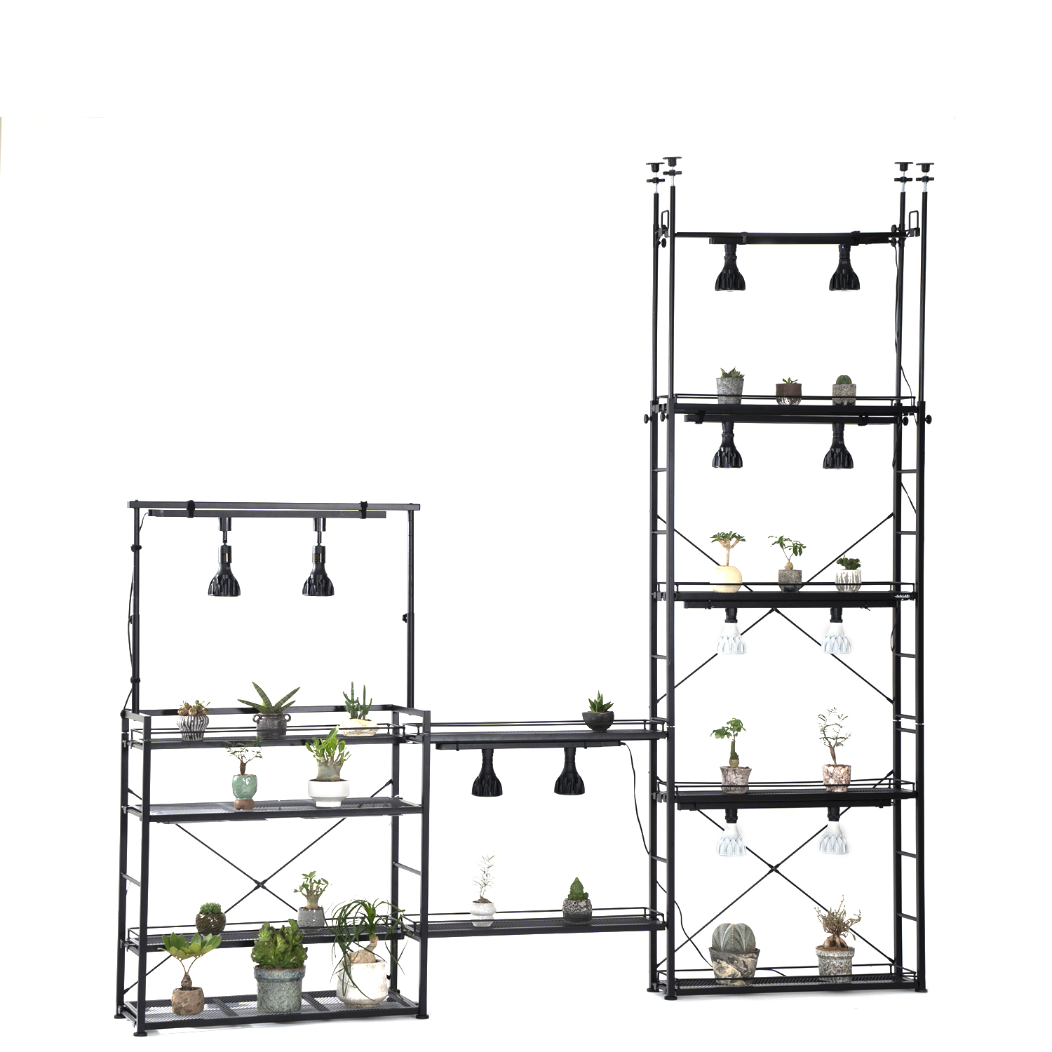 ビザールプランツラックスリムの製品画像