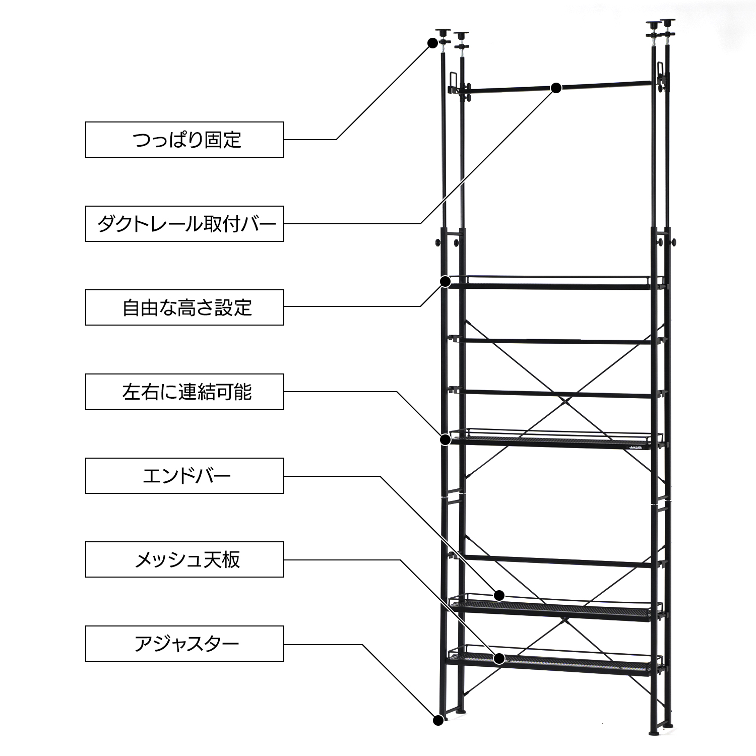 ビザールプランツラックスリムの製品画像