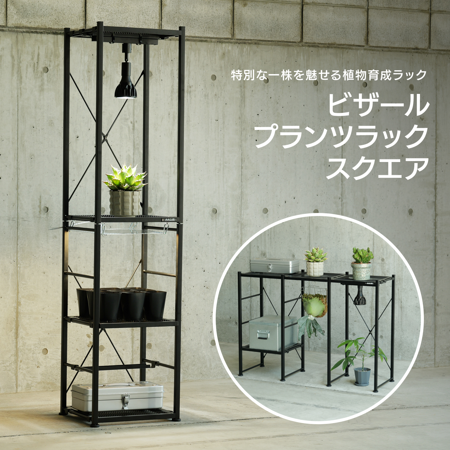 ビザールプランツラック「スクエア」の製品画像