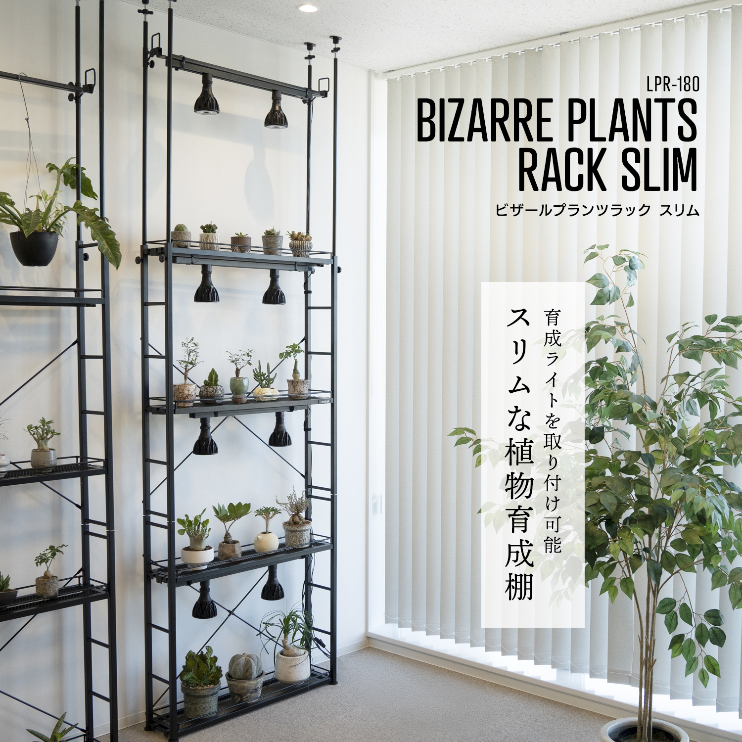 ビザールプランツラックスリムの製品画像