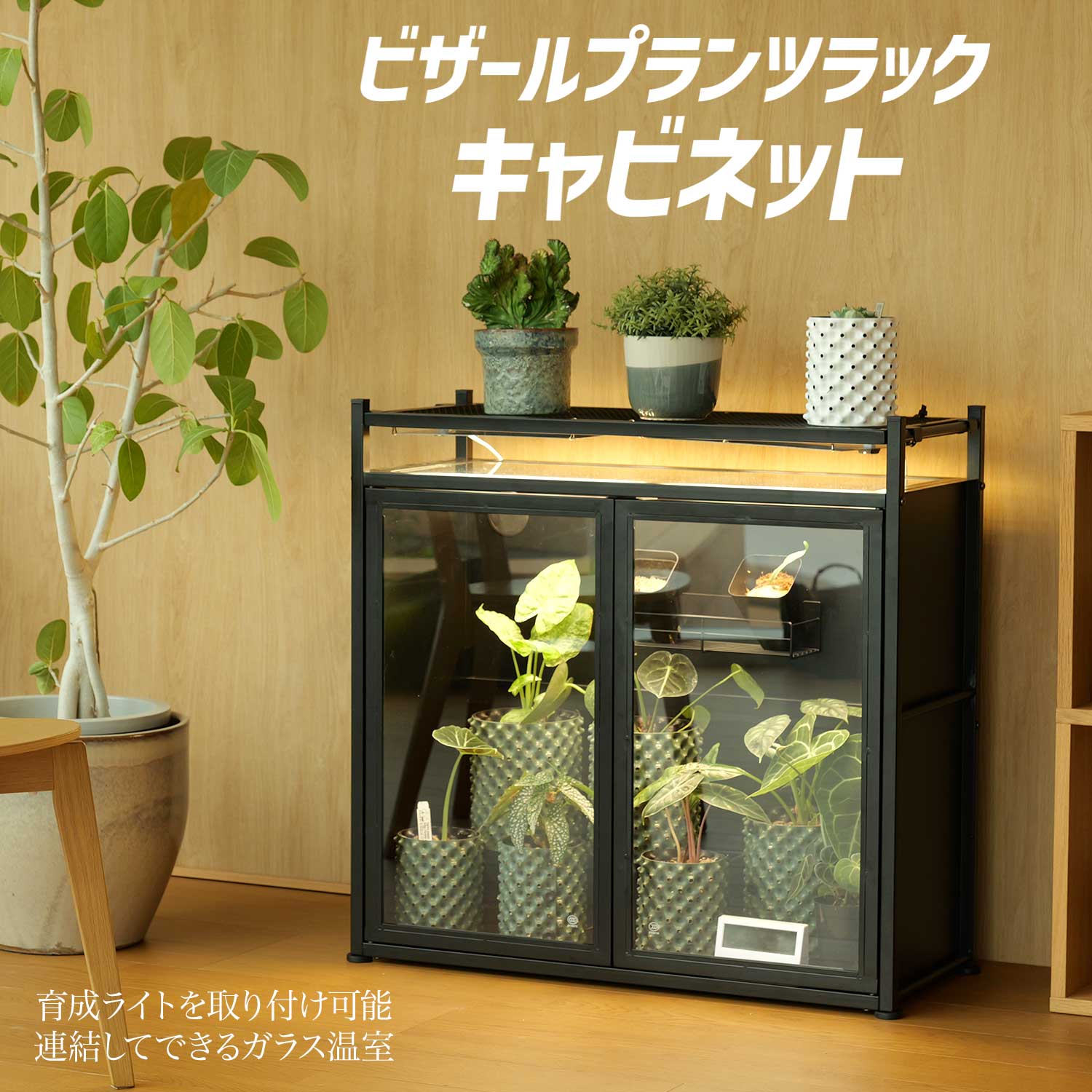 ビザールプランツラック キャビネットの製品画像
