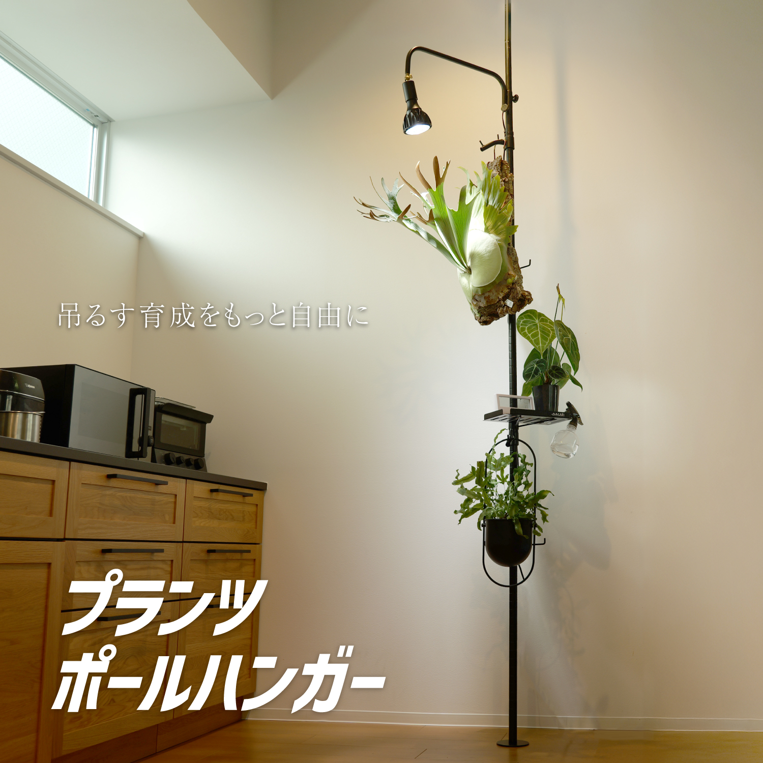 ビザールプランツポールハンガーの製品画像