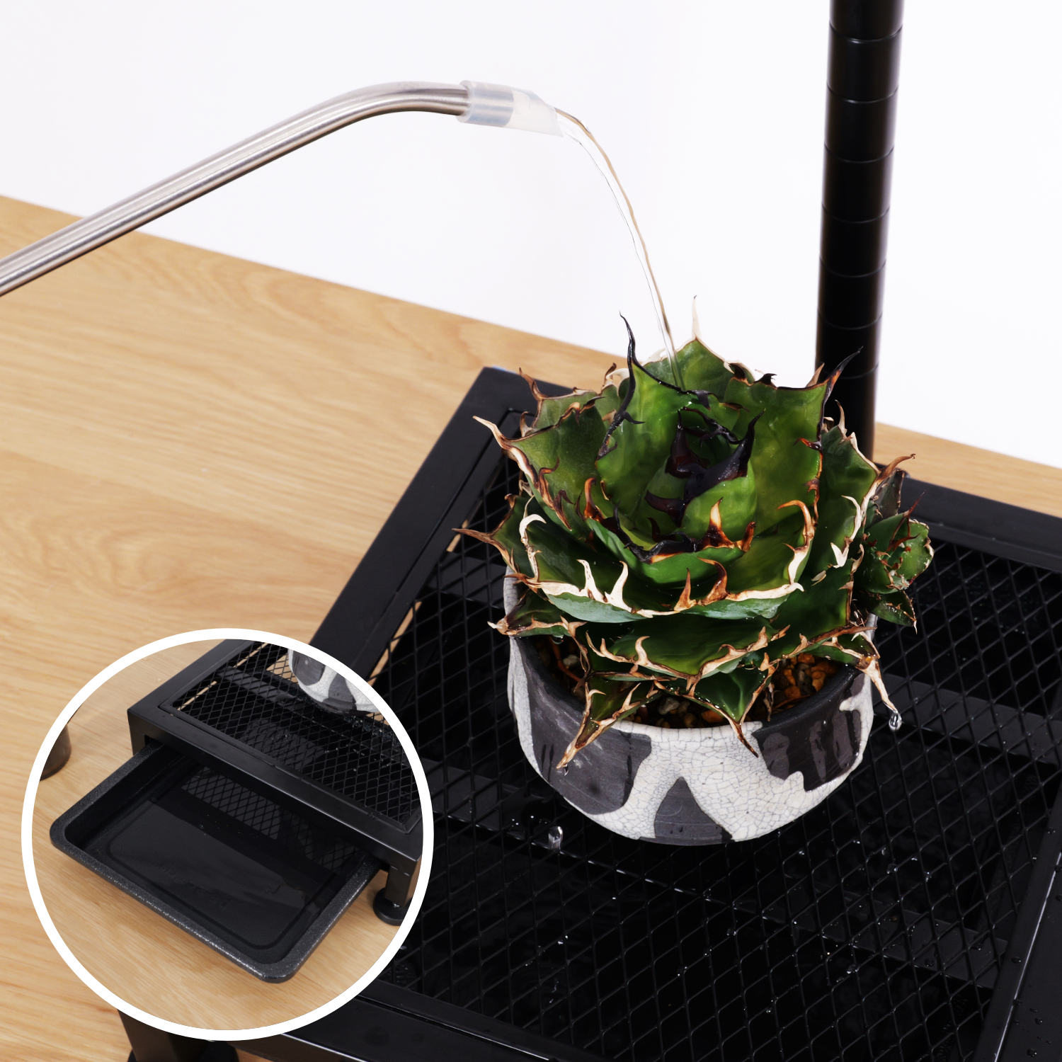 植物育成ライトスタンド・ソロの製品画像