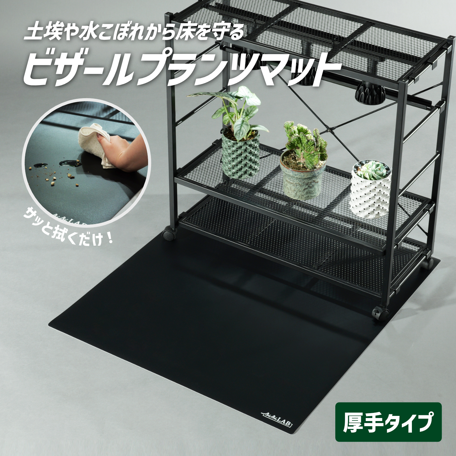 ビザールプランツマットの製品画像