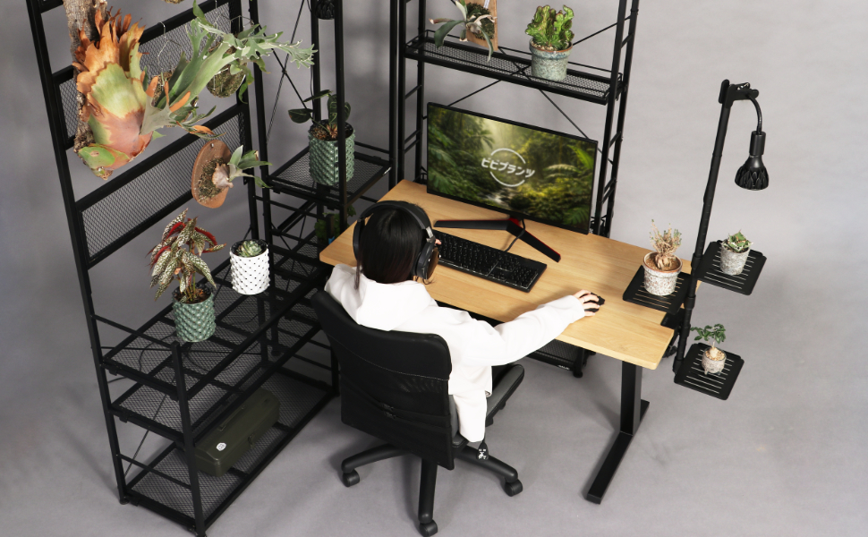究極の「ゲーミングジャングルデスク」の構築法～植物に囲まれるデスクレイアウトを作ろう～