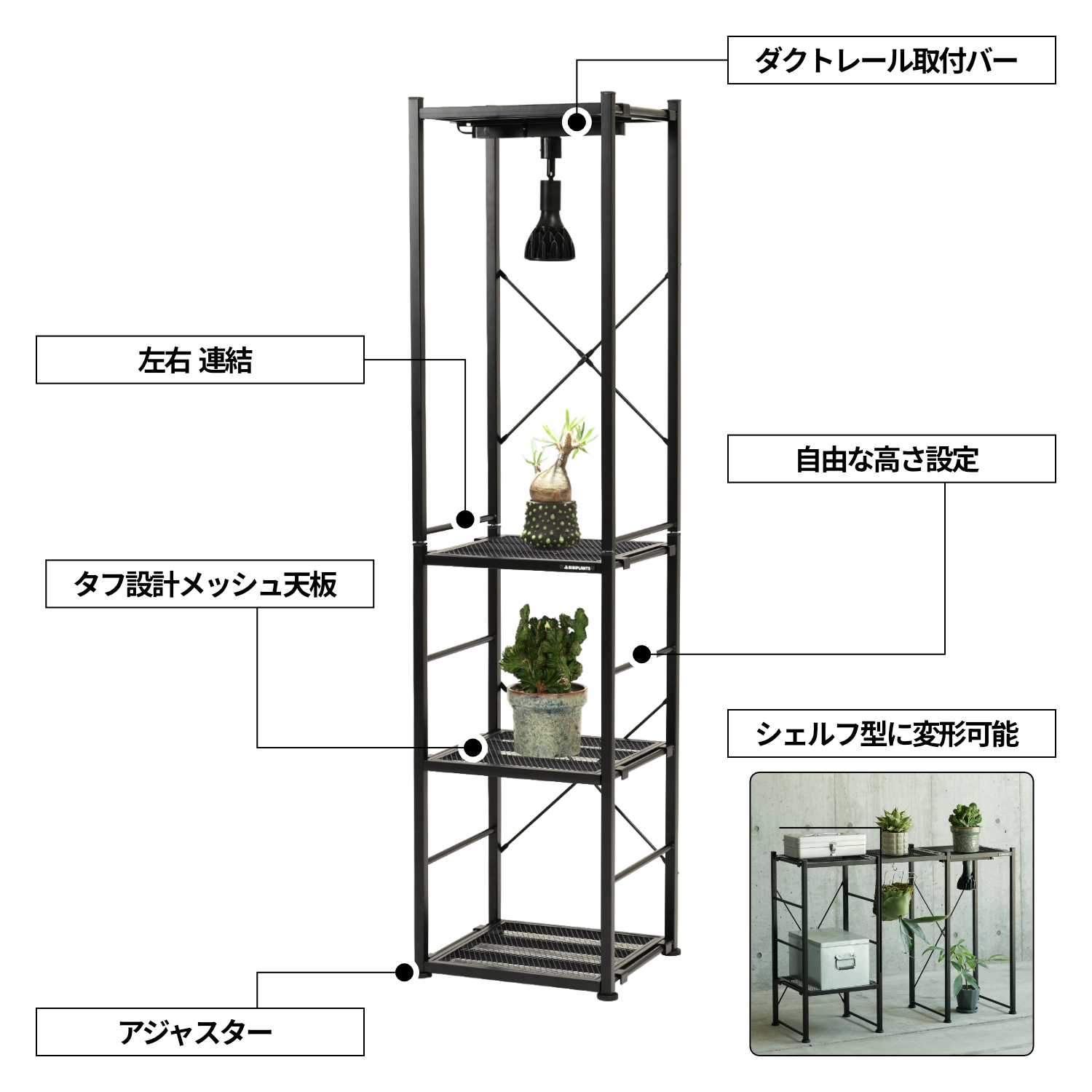 ジャングルラック スクエアの製品画像