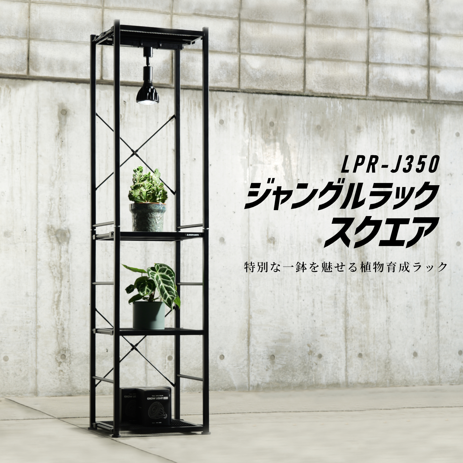 ジャングルラック スクエアの製品画像