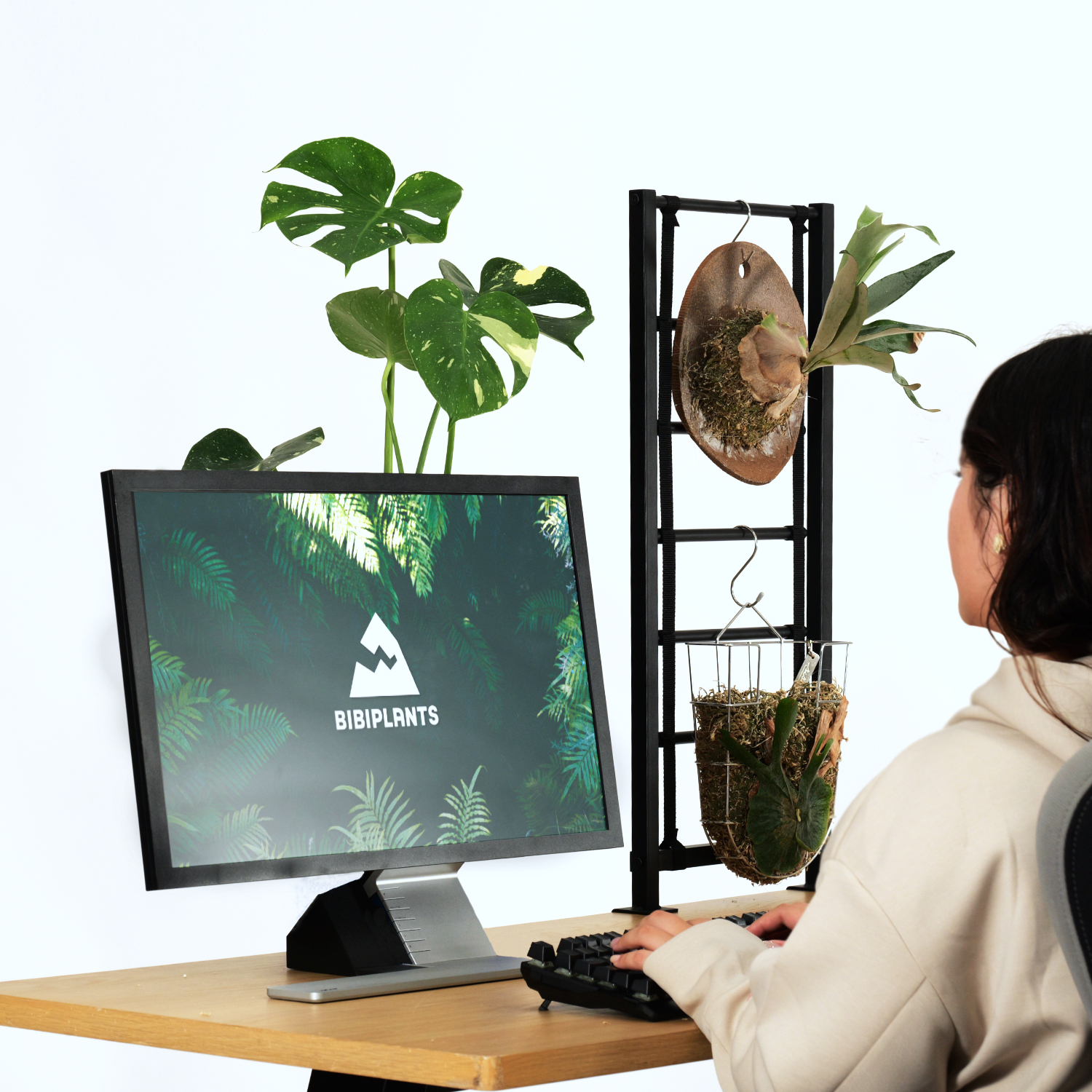 デスクビカクウォールの製品画像