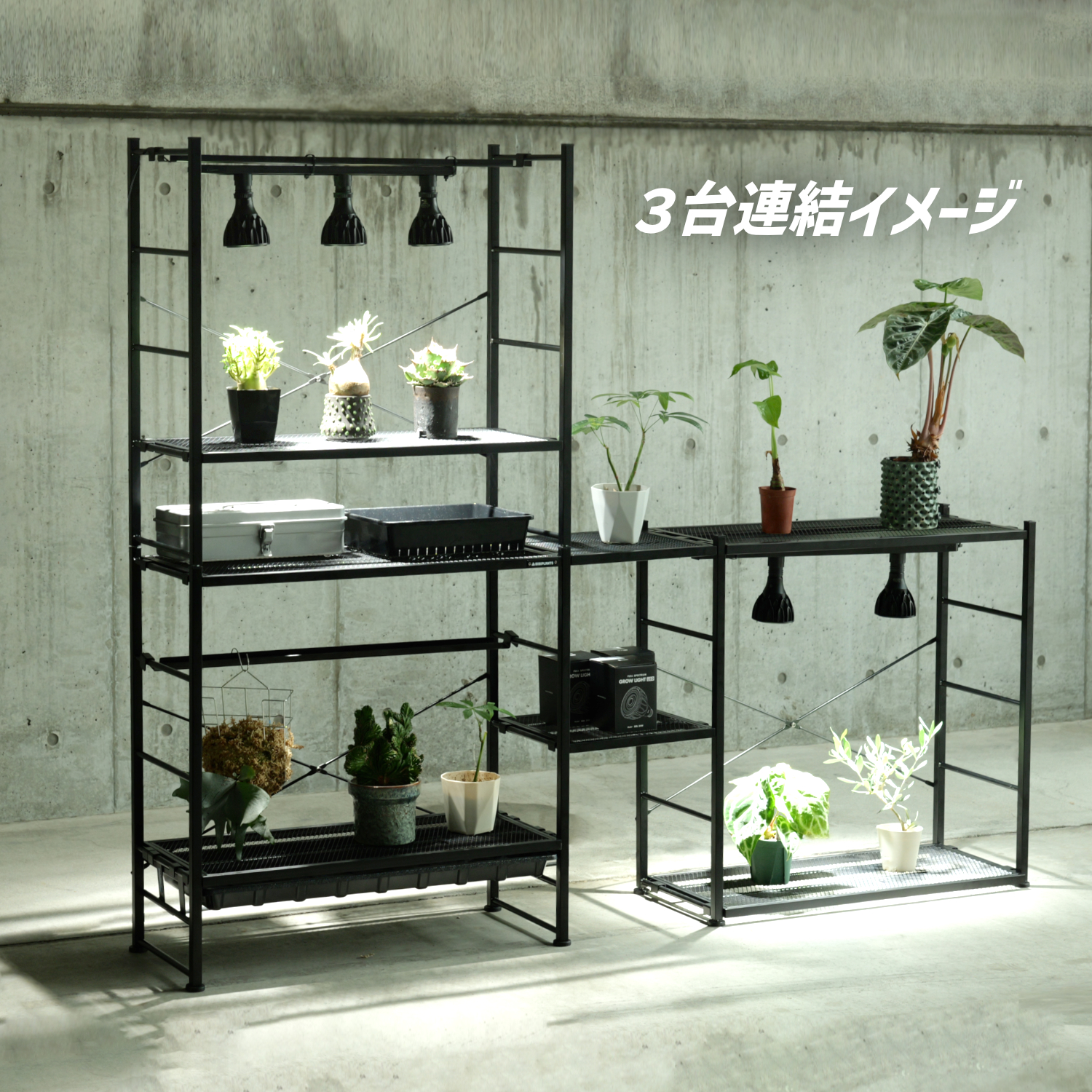 ジャングルラック コアの製品画像