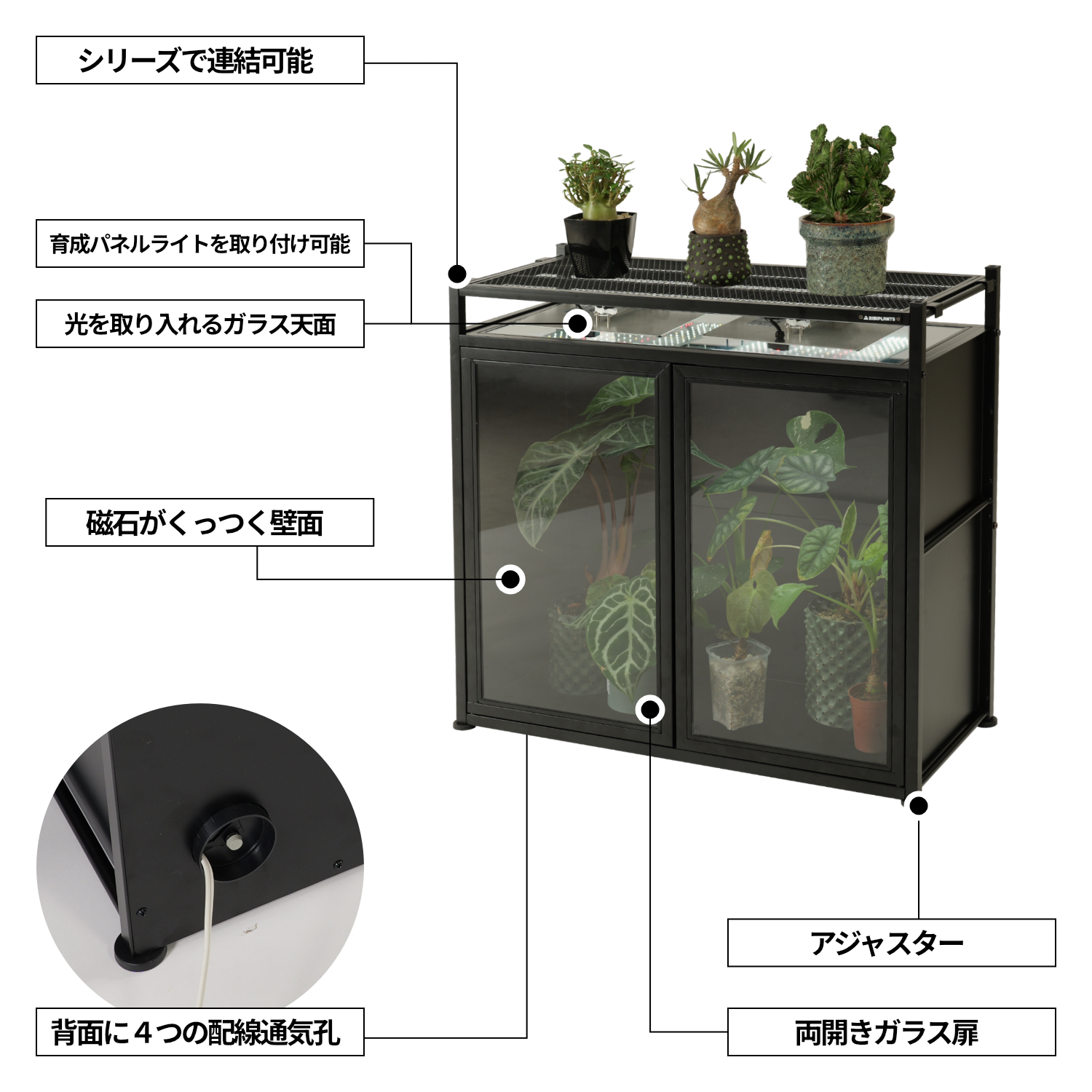 ジャングルラック キャビネットの製品画像