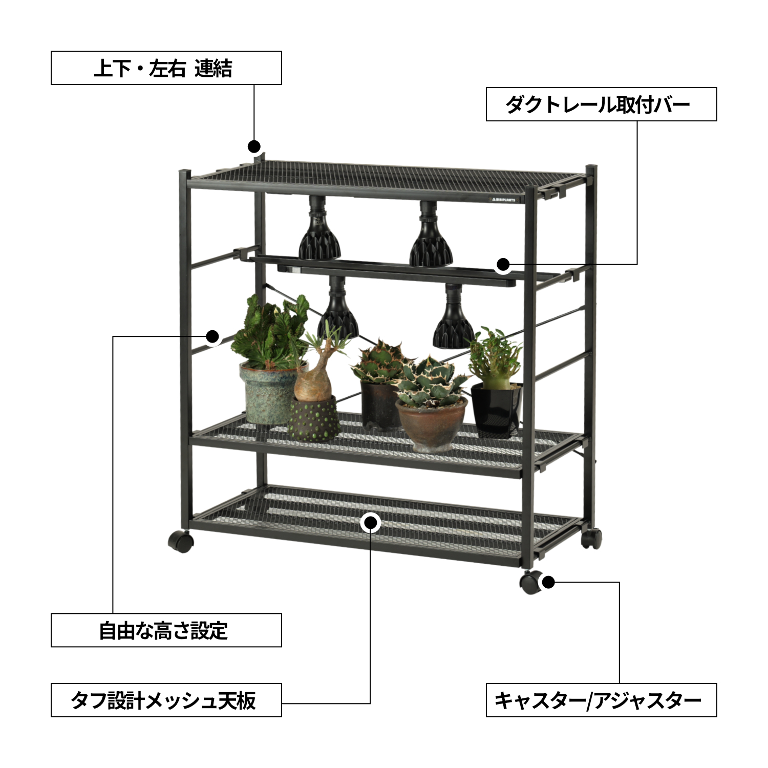 ジャングルラック コアの製品画像