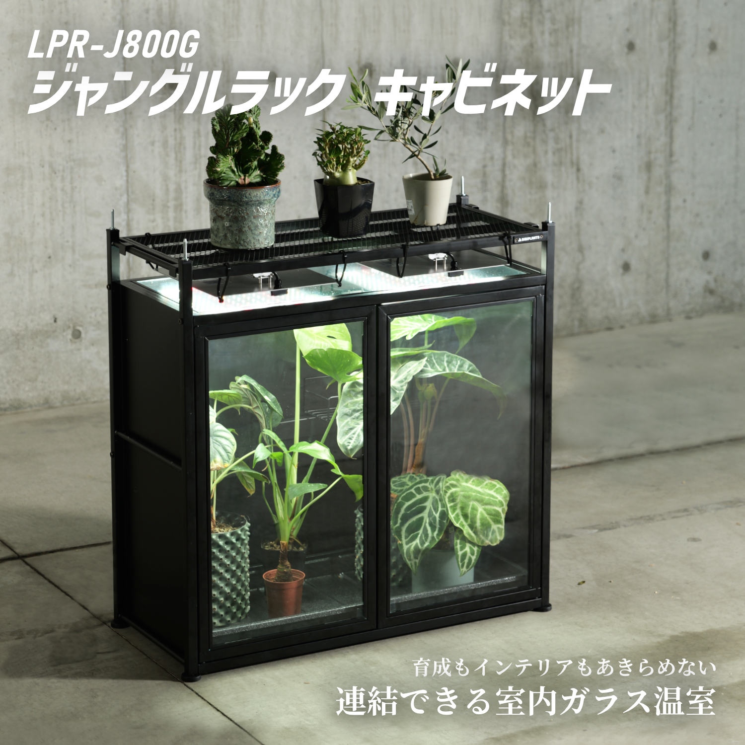ジャングルラック キャビネットの製品画像
