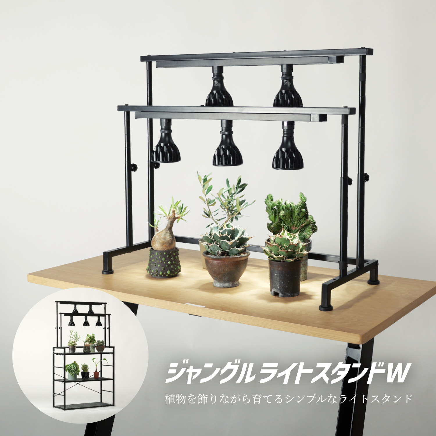ジャングルライトスタンドWの製品画像