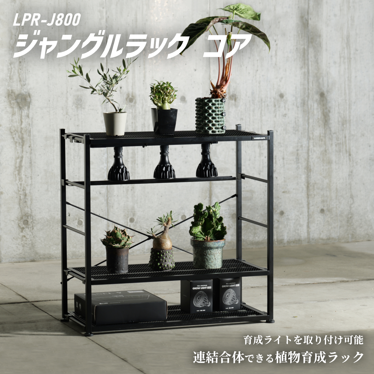 ジャングルラック コアの製品画像